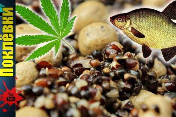 Kraken как найти ссылку