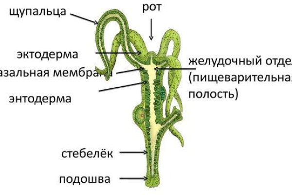 Кракен оригинальные ссылка в тор