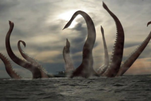 Kraken place