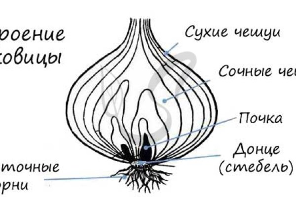 Кракен наркоплощадка