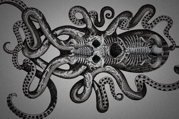 Kraken ссылка onion 2kmp