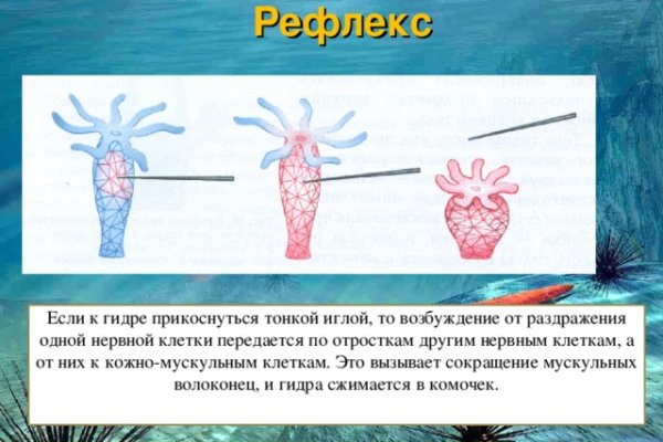 Kraken официальное зеркало kraken dark link